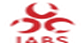 iabs.com.hk - IABS
